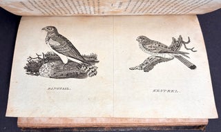 A General History of Birds and Quadrupeds