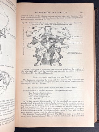Gray's Anatomy, Descriptive and Surgical (1881)