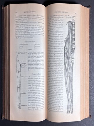 Gray's Anatomy, Descriptive and Surgical (1881)