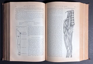 Gray's Anatomy, Descriptive and Surgical (1881)