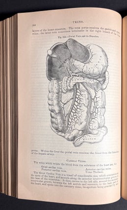 Gray's Anatomy, Descriptive and Surgical (1881)