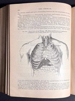 Gray's Anatomy, Descriptive and Surgical (1881)
