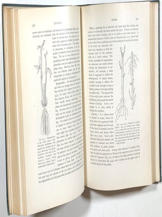 A Textbook of Botany for Colleges and Universities; Vol. II, Ecology