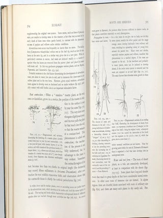 A Textbook of Botany for Colleges and Universities; Vol. II, Ecology