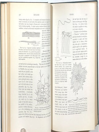 A Textbook of Botany for Colleges and Universities; Vol. II, Ecology