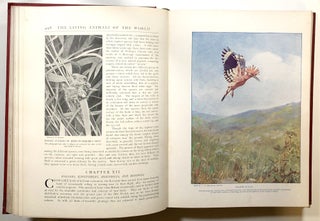 The Living Animals of the World, A Popular Natural History, Vol. II--Birds, Fishes, Reptiles, Insects