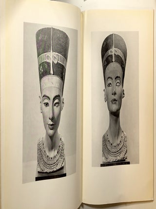The Head of Queen Nofretete