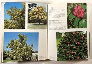 Gardening With Trees: Trees of the World for Gardens in the Southern Hemisphere and Other Temperate Regions