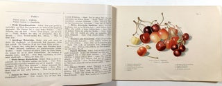 Pomologisches Bilderbuch fur Jung und Alt