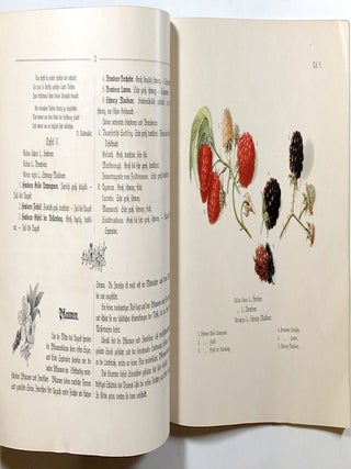 Pomologisches Bilderbuch fur Jung und Alt