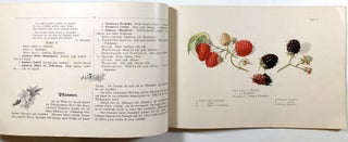 Pomologisches Bilderbuch fur Jung und Alt