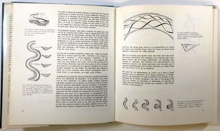 Le Chaos Sensible: Creation de Formes par les Mouvements de L'eau et de L'air; Preface du Commandant Cousteau