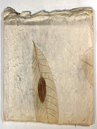 Futility. Marian Willinck.