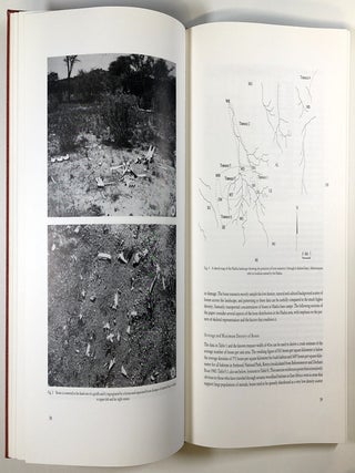 Cultural Beginnings: Approaches to Understanding Early Hominid Life Ways in the African Savanna; Romisch-Germanisches Zentralmuseum Monographien, Band 19
