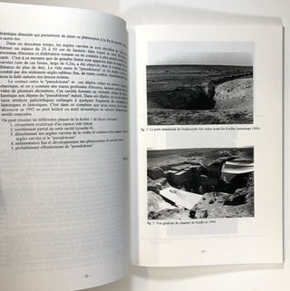 Le Paleolithique d'El Kowm (Syrie): Rapport 1995; Nadaouiyeh Ain Askar; Fonds National Suisse de la Recherche Scientifique