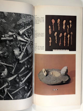 Evolution and Style in Camunian Rock Art; An Inquiry into the Formation of European Civilization; Archivi 6