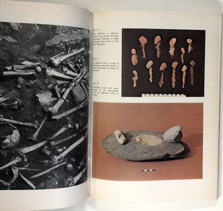 Evolution and Style in Camunian Rock Art; An Inquiry into the Formation of European Civilization; Archivi 6