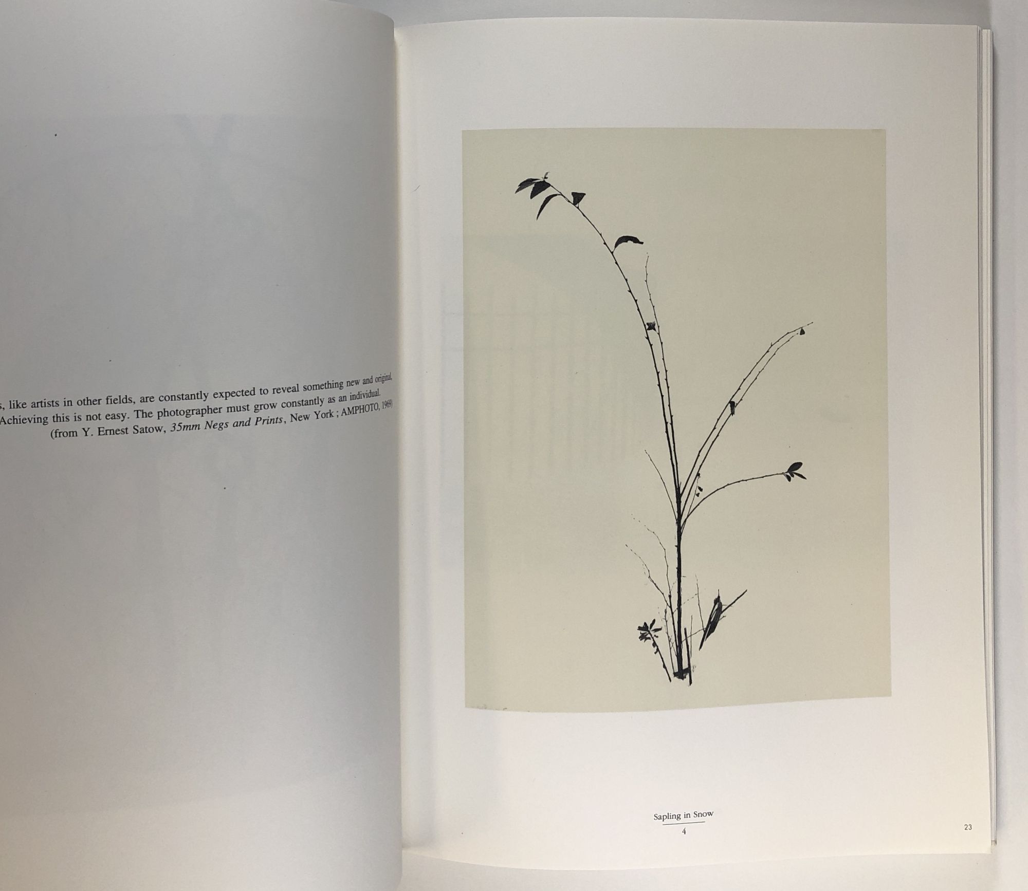 Wai anesuto sato shashinshu / Y. Ernest Satow: Selected 