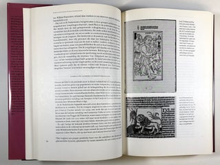 De hele Bibelebontse berg: De geschiedenis van het kinderboek in Nederland & Vlaanderen van de middeleeuwen tot heden