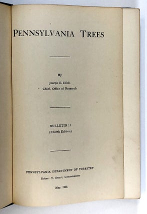 Pennsylvania Trees