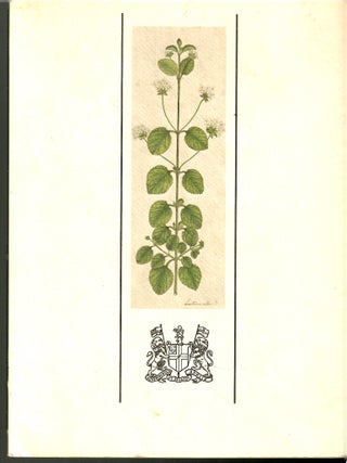 Item #s00035985 A Selection of late 18th and Early 19th Century Indian Botanical Paintings...