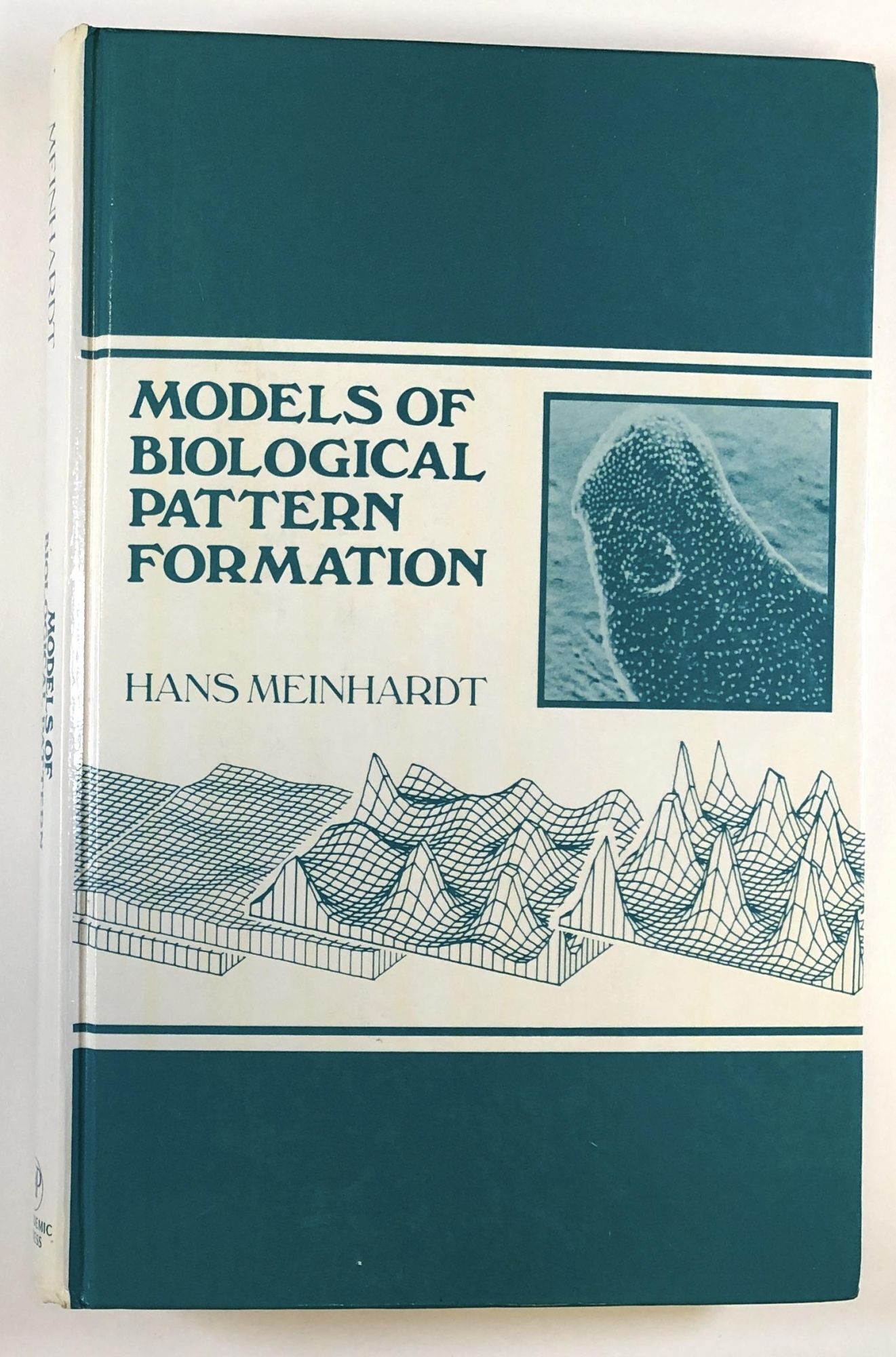 Models of Biological Pattern Formation | Hans Meinhardt