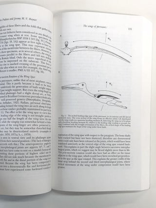 Functional Morphology and Evolution: A special volume of the American Journal of Science (v. 293-A)