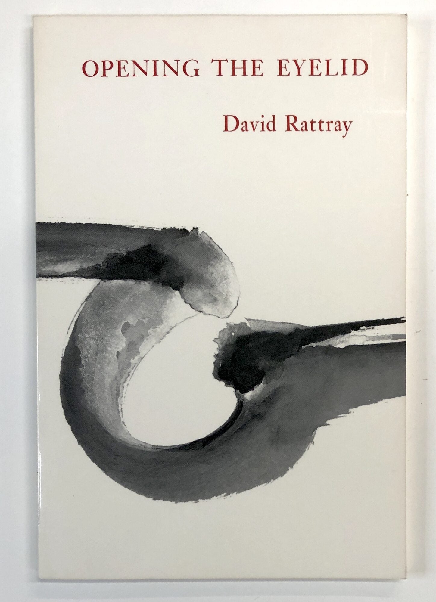 Opening the Eyelid | David Rattray