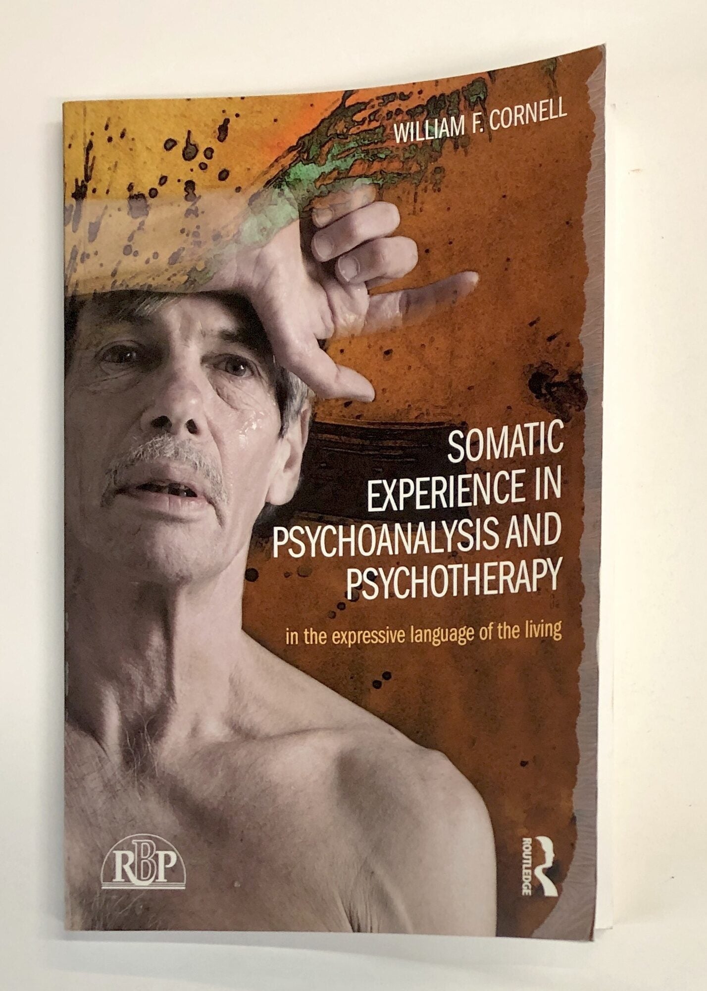 Somatic Experience in Psychoanalysis and Psychotherapy: In the ...
