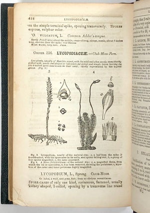 Flora of Pennsylvania, and Botanist's Pocket Manual, Comprising a Glossary of Botanical Terms, Analytical Tables, and the Natural Orders