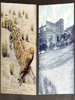 Group of 15 Arizona Postcards, 1900s-1910s