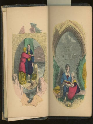 The Violet, a Christmas and New Years Gift