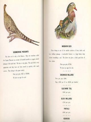 Mating List and Catalogue for Domestic and Game Fowl from Chiles and Company