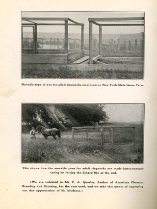 Mating List and Catalogue for Domestic and Game Fowl from Chiles and Company